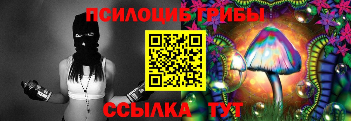 Галлюциногенные грибы мицелий Кириши