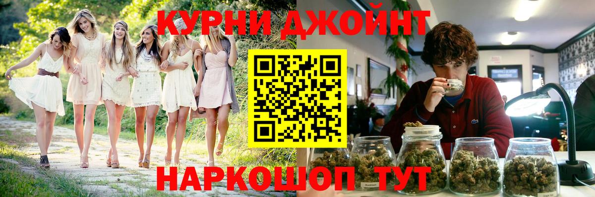 Кириши  Бошки Шишки семена  Канабис планчик  Вход с VPN  Шишки марихуана конопля  Конопля OG Kush 